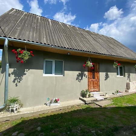 Біля Саду Volovets Exteriör bild