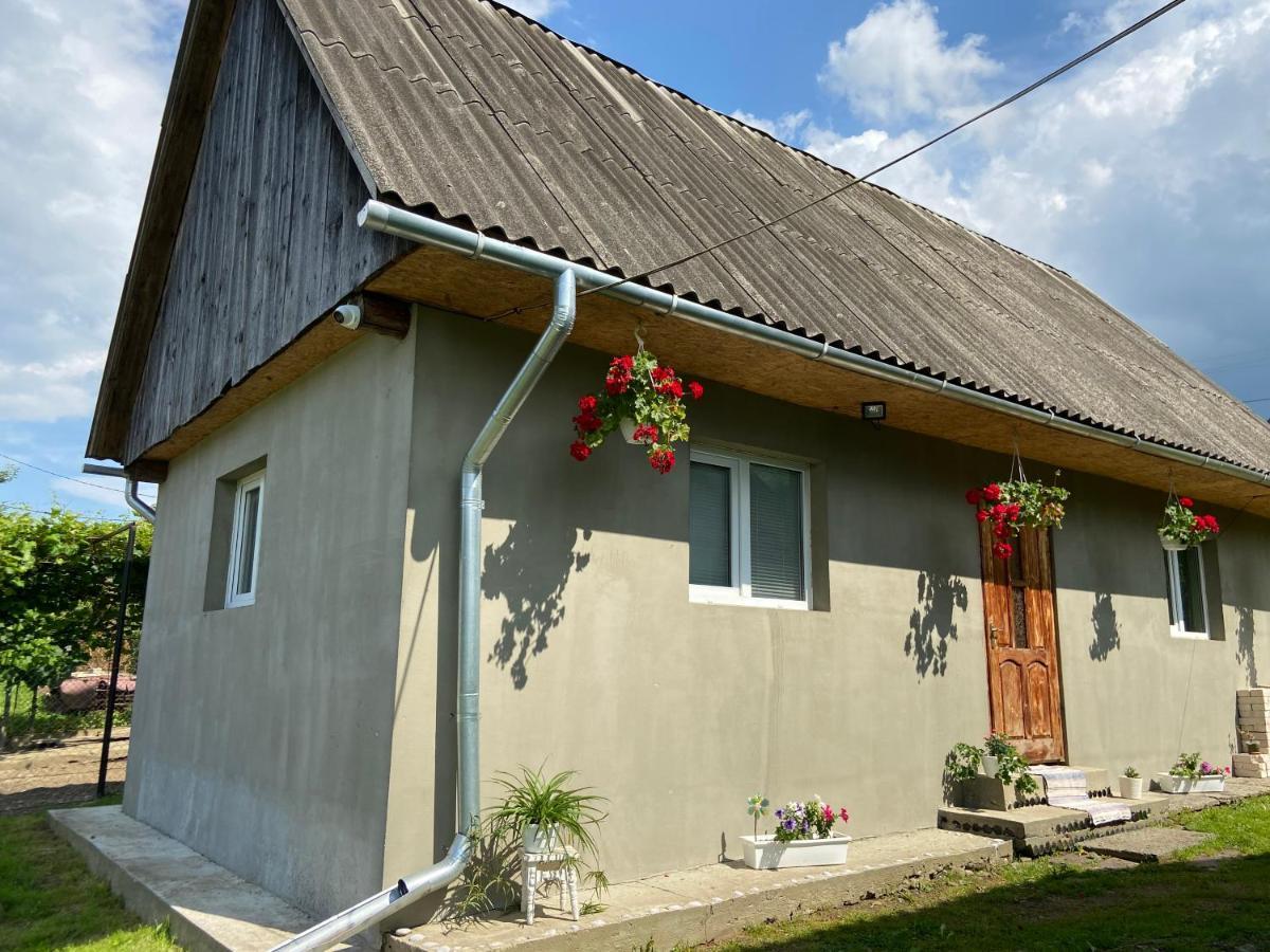 Біля Саду Volovets Exteriör bild
