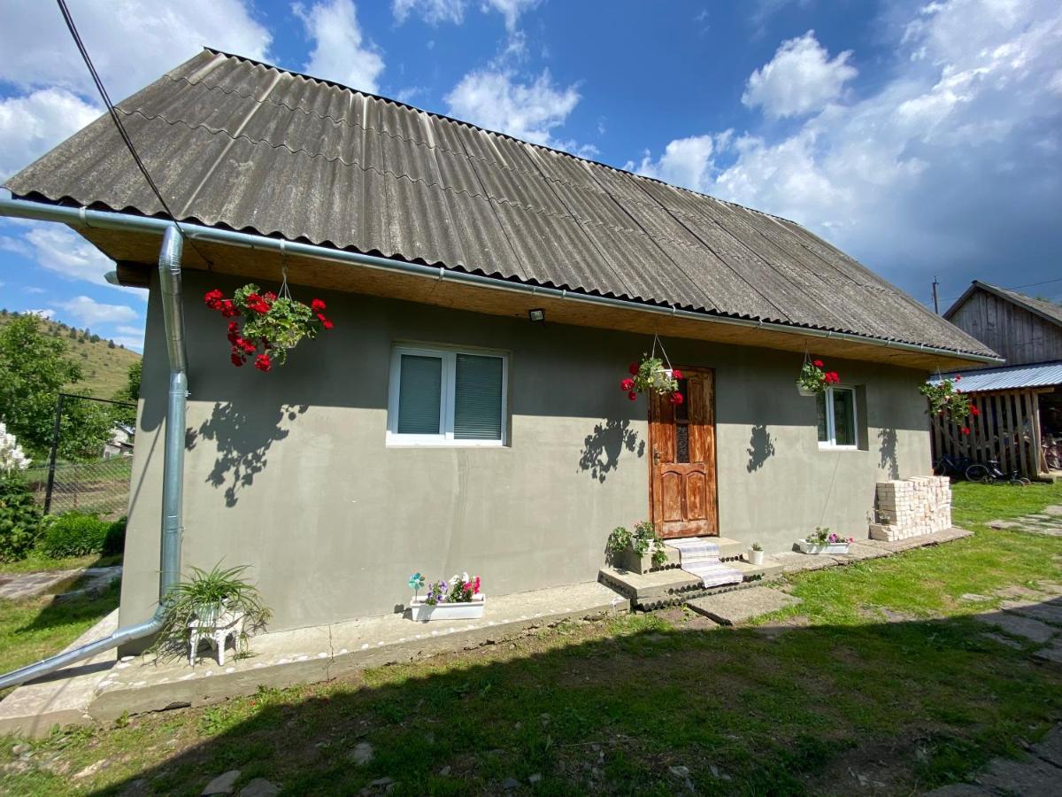 Біля Саду Volovets Exteriör bild